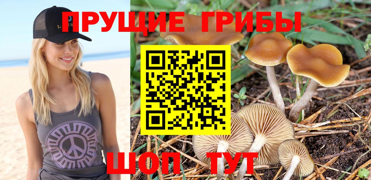 Родники  Галлюциногенные грибы MAGIC MUSHROOMS  наркота  Псилоцибиновые грибы мухоморы  Вход с VPN 